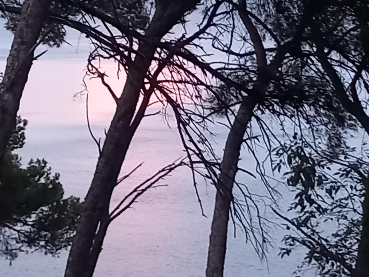 Chambre D Hote Les Heures Claires Istres Εξωτερικό φωτογραφία